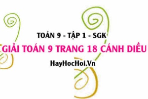 Giải Toán 9 trang 18 tập 1 Cánh Diều SGK